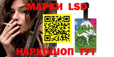 индика Аргун