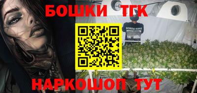 индика Аргун