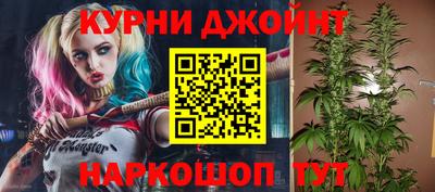 индика Аргун