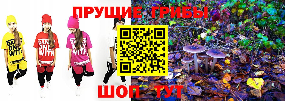 Галлюциногенные грибы Psilocybe  купить наркотики сайты  Усолье-Сибирское 