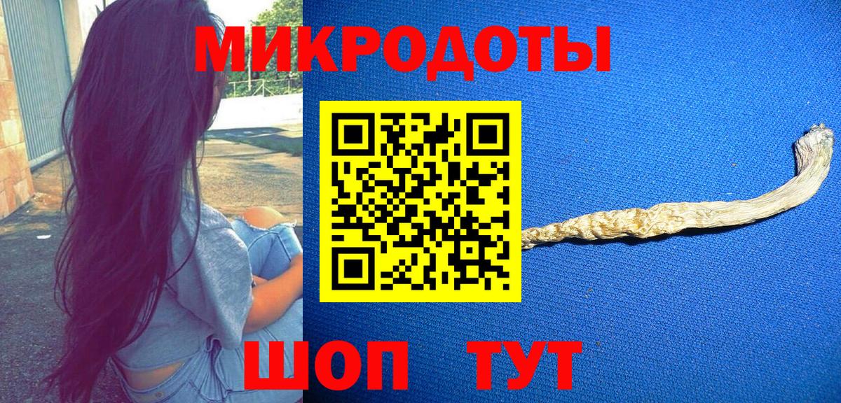 Галлюциногенные грибы Psilocybe Усолье-Сибирское