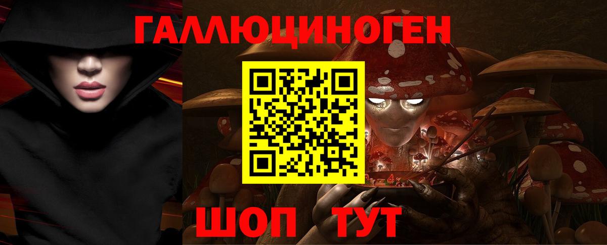 Галлюциногенные грибы Psilocybine cubensis Усолье-Сибирское